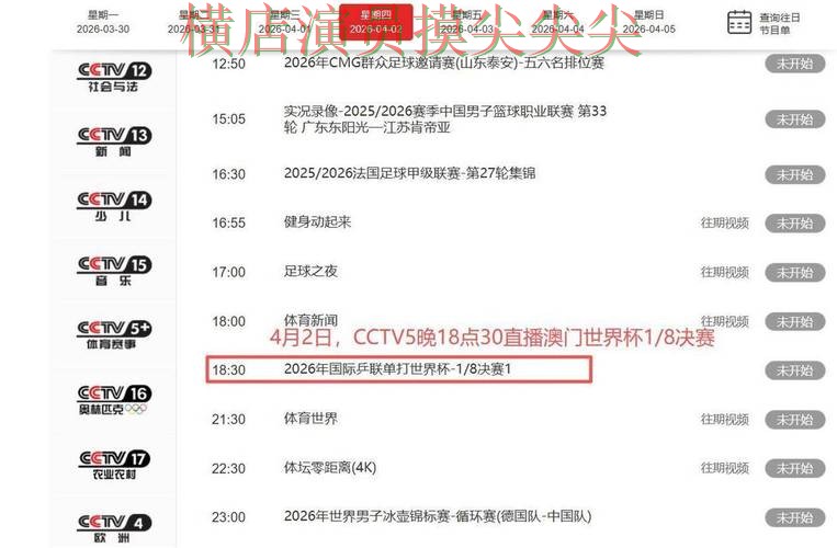 世界杯投注平台合集盘点：聚焦直播入口与赛事直播体验 - 世界杯全球总决赛